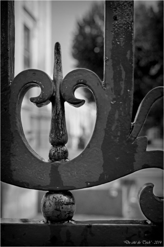 BLOG-DSC_31812-grille musée des beaux arts et jardins mairie Bordeaux N&B