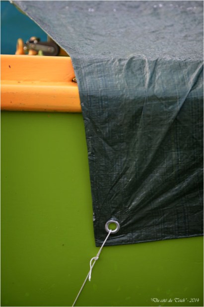 BLOG-DSC_31840-Zaza 1915