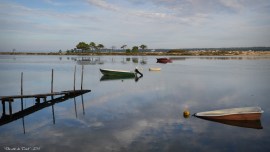 BLOG-DSC_31849-conche Cap-Ferret