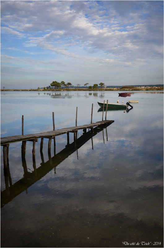 BLOG-DSC_31850-conche Cap-Ferret
