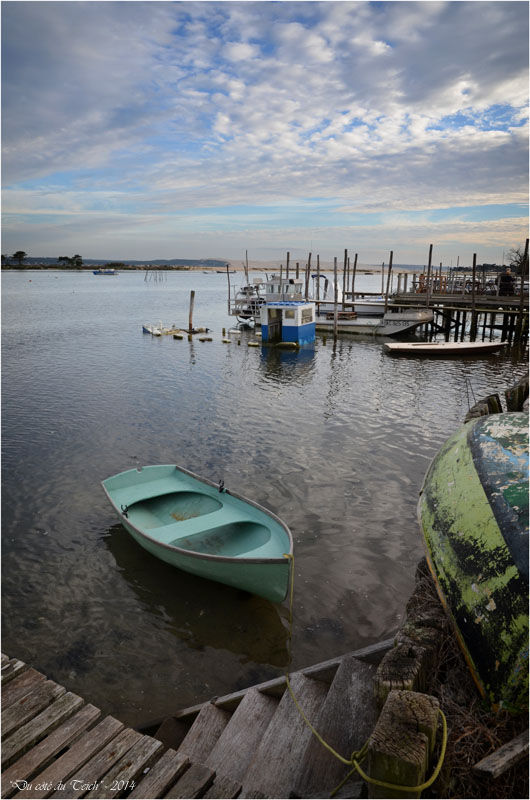 BLOG-DSC_31867-conche Cap-Ferret