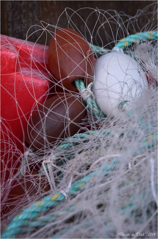 BLOG-DSC_32036-filets et flotteurs