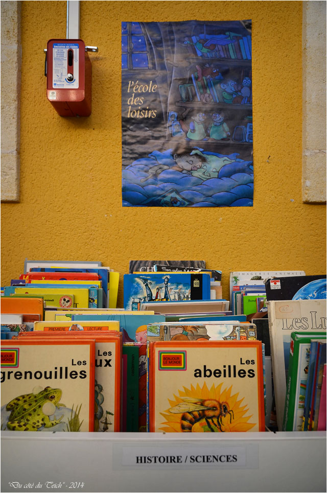 BLOG-DSC_32502-école des loisirs livres histoire sciences