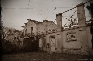 BLOG-DSC_32717-travaux Certes Dec 2014 PA03