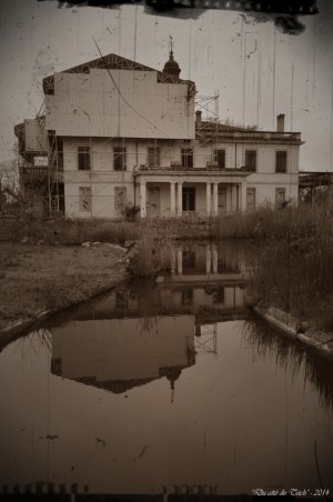 BLOG-DSC_32741-travaux Certes Dec 2014 PA03