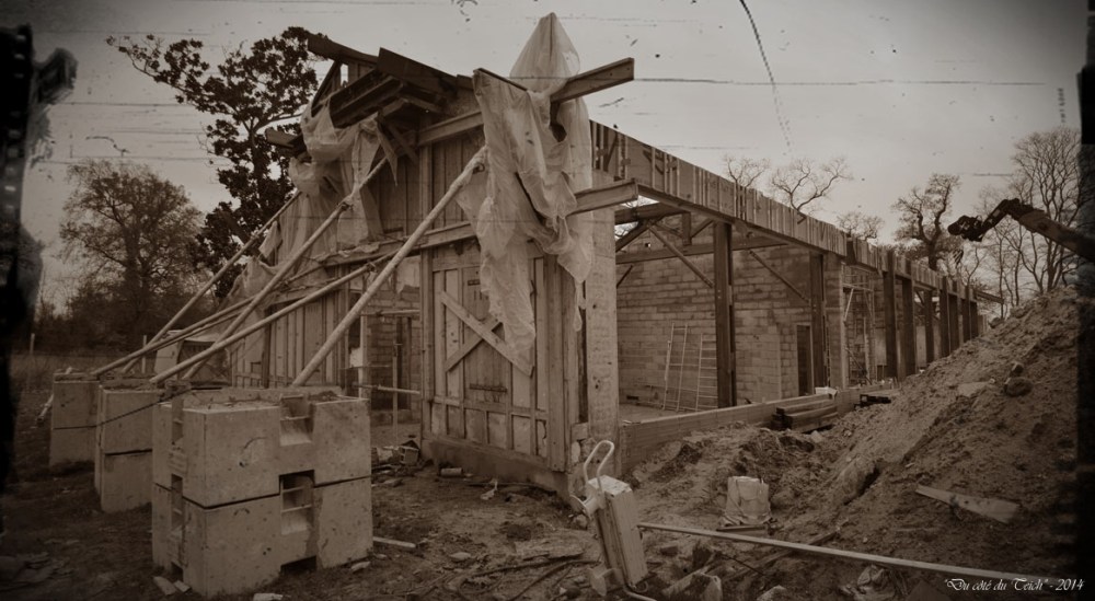 BLOG-DSC_32744-45-travaux poulinière Certes Dec 2014 PA03