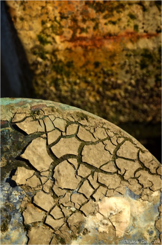 BLOG-DSC_32907-hélice pinasse