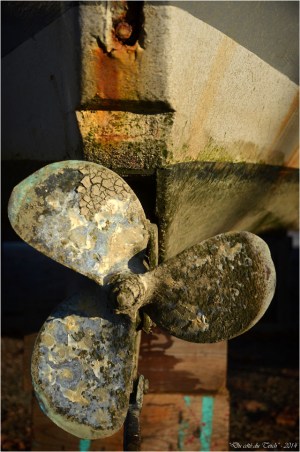 BLOG-DSC_32908-hélice pinasse