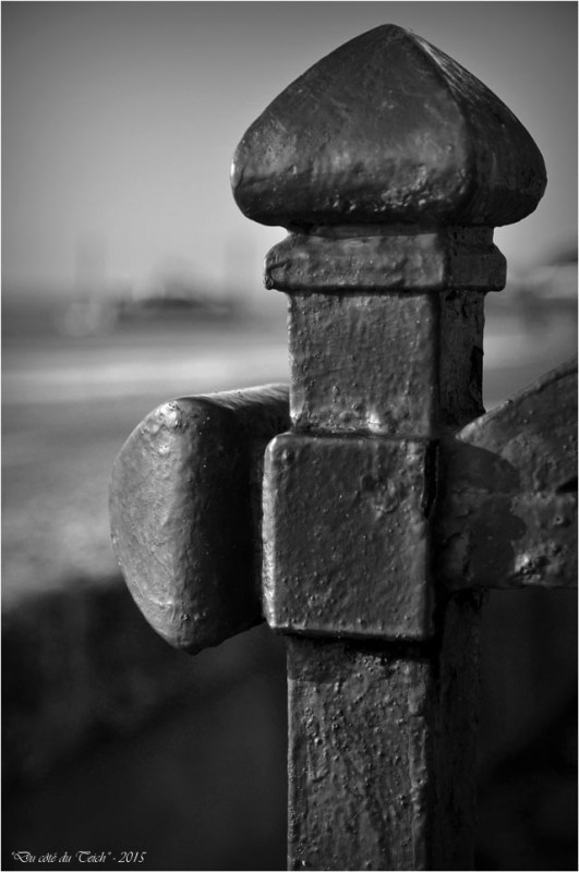 BLOG-DSC_33029-grille villa Taussat et dragage port N&B