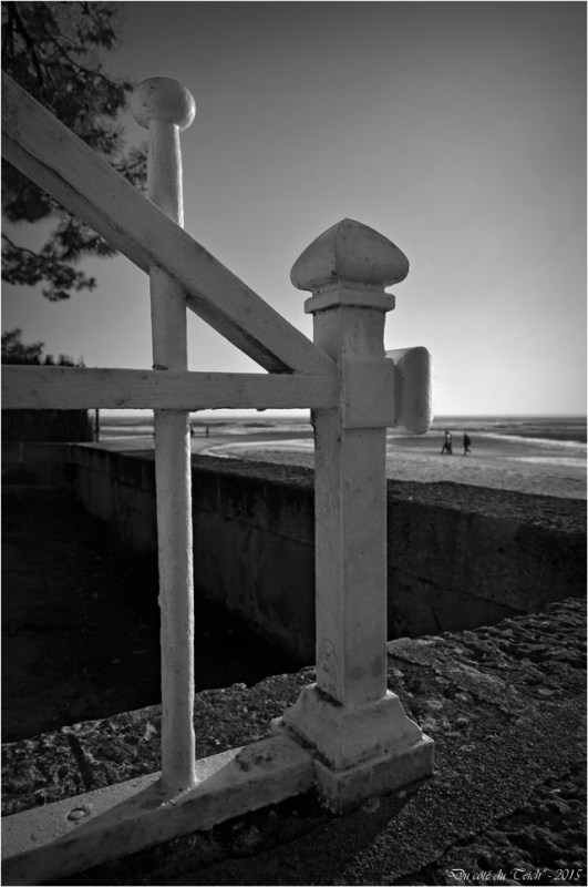 BLOG-DSC_33033-grille villa Taussat et plage N&B