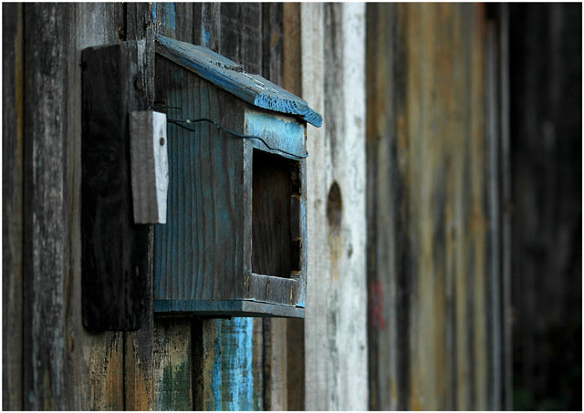 DSC_6208-boîte à lettres port Canal