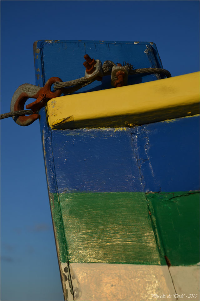 BLOG-DSC_33524-yole de bantry la Jolie Barbotière