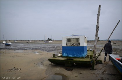 BLOG-DSC_33540-conche du Mimbeau Cap-Ferret