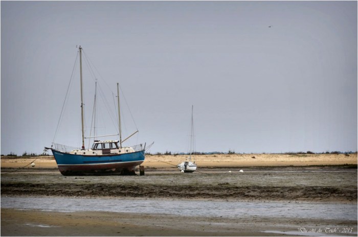 BLOG-DSC_33542-Windekind conche du Mimbeau Cap-Ferret