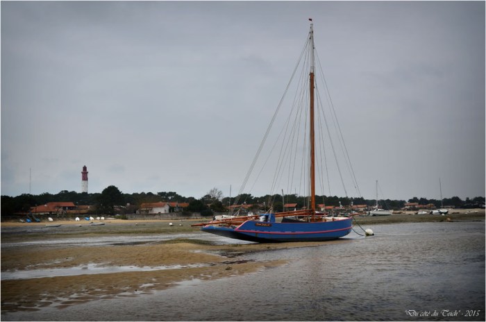 BLOG-DSC_33543-Tante Sophie conche du Mimbeau Cap-Ferret