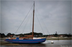 BLOG-DSC_33545-Tante Sophie conche du Mimbeau Cap-Ferret