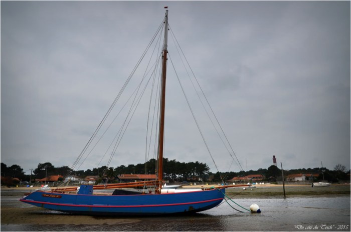 BLOG-DSC_33545-Tante Sophie conche du Mimbeau Cap-Ferret