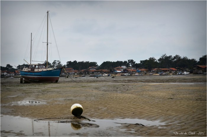 BLOG-DSC_33549-Windekind conche du Mimbeau Cap-Ferret