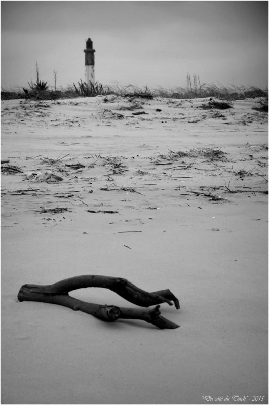 BLOG-DSC_33660-conche du Mimbeau et phare du Cap-Ferret N&B2