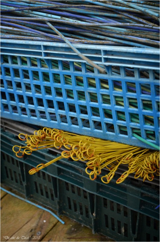 BLOG-DSC_33688-aiguilles