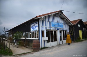 BLOG-DSC_33795-cabane Catherine Roux