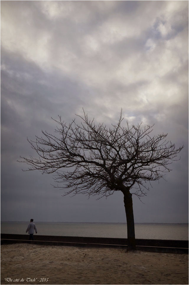 BLOG-DSC_34022-promeneuse et arbre plage Péreire 1