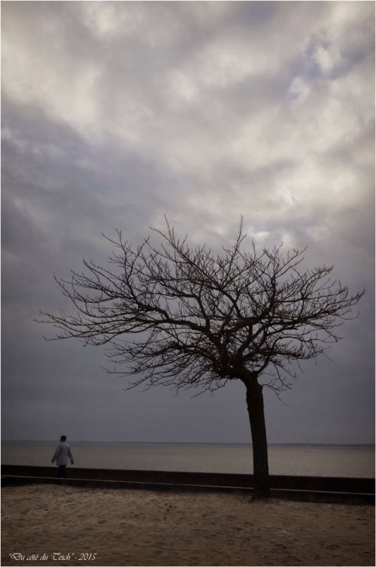 BLOG-DSC_34022-promeneuse et arbre plage Péreire 1
