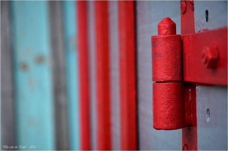 BLOG-DSC_34084-gond et bardages cabanes Biganos