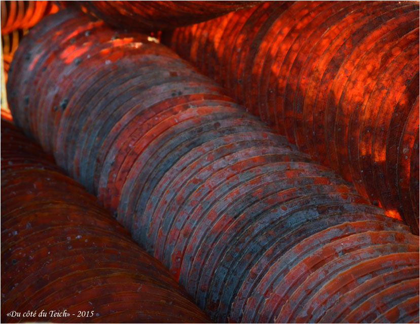 BLOG-DSC_34314-collecteurs à coupelles