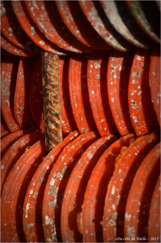 BLOG-DSC_34317-collecteurs à coupelles