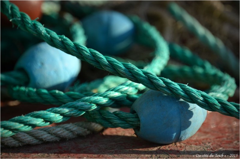 BLOG-DSC_34332-flotteurs