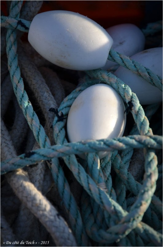 BLOG-DSC_34336-flotteurs