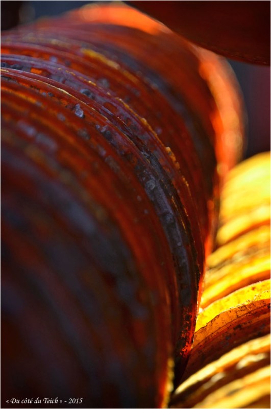 BLOG-DSC_34347-collecteurs à coupelles