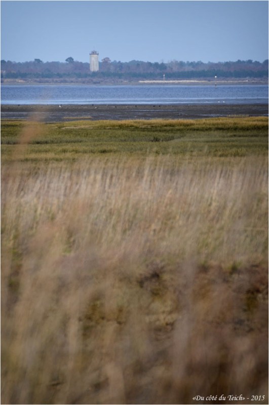 BLOG-DSC_34359-rivages port Barbotière face Audenge