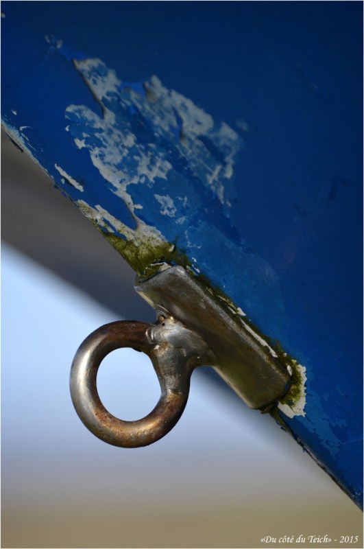 BLOG-DSC_34365-anneau amarrage proue bleue