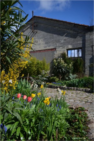 BLOG-DSC_34572- jardin Bains Douches Belcier