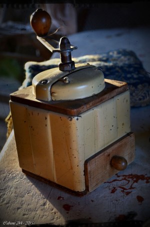 BLOG-DSC_34879-moulin Ã  cafÃ© conteuse Myriam DarmantÃ© cabane 244 PA03