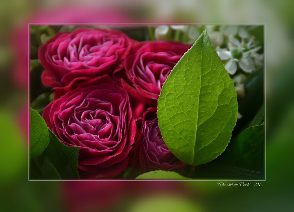 BLOG-DSC_34618-bouquet_hf