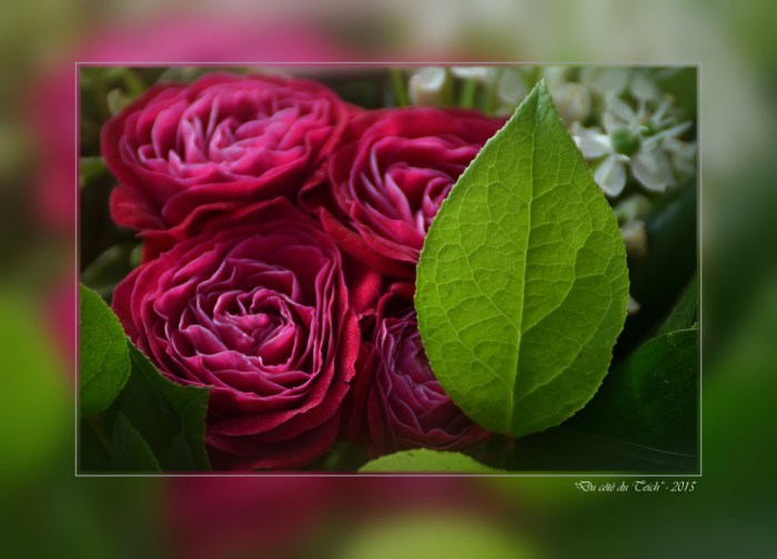 BLOG-DSC_34618-bouquet_hf