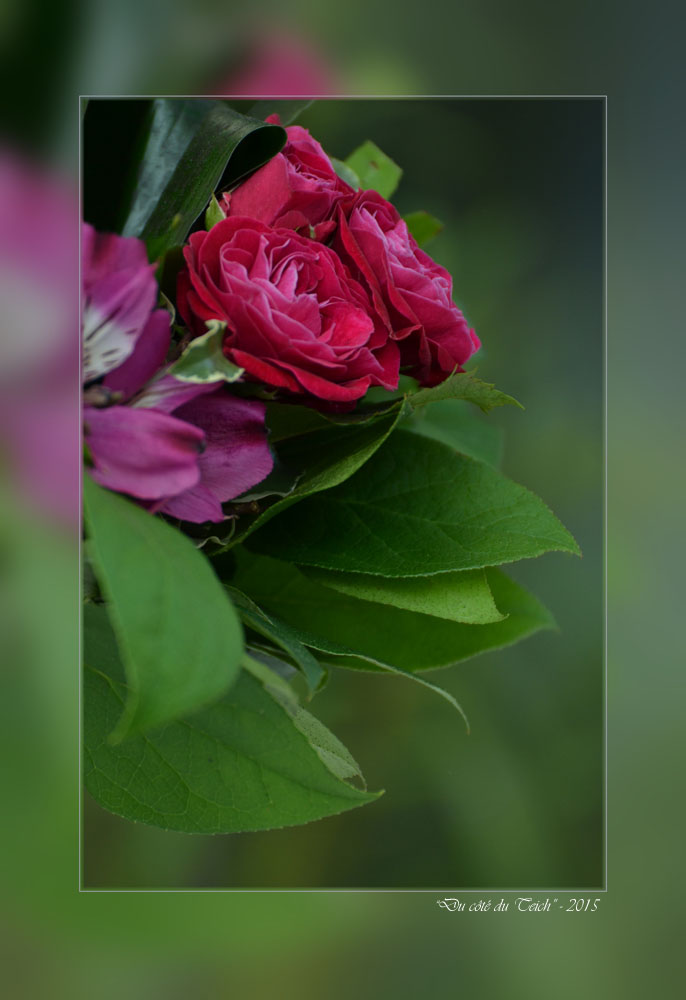 BLOG-DSC_34620-bouquet_hf