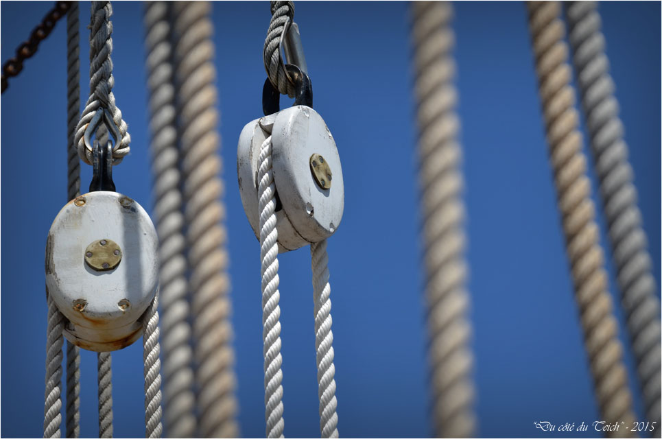 BLOG-DSC_35447- le Belem - Bordeaux fête le fleuve 2015 BLOG-DSC_35447- le Belem - Bordeaux fête le fleuve 2015