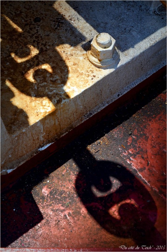 BLOG-DSC_35485- le Belem - Bordeaux fête le fleuve 2015 BLOG-DSC_35485- le Belem - Bordeaux fête le fleuve 2015