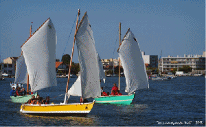 anigif défilé pinassottes port de la Teste 2015