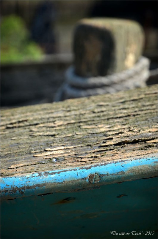 BLOG-DSC_37972-vieux chaland