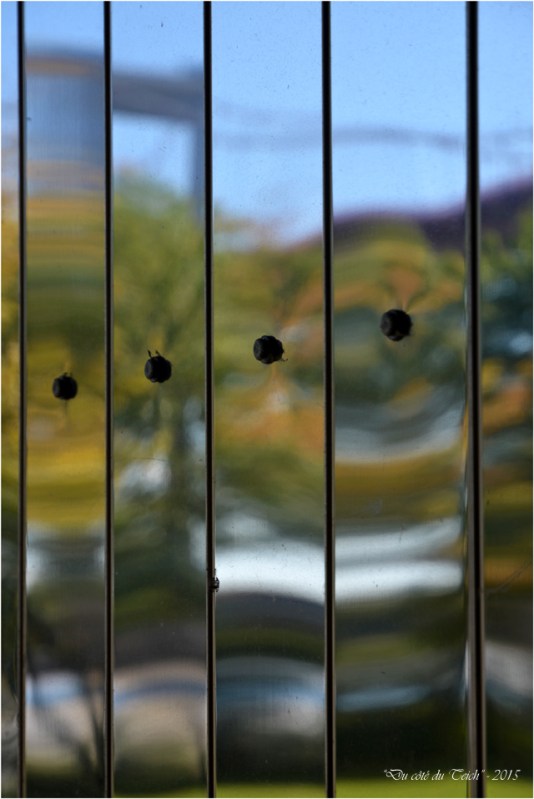 BLOG-DSC_38226-reflet pont Aquitaine