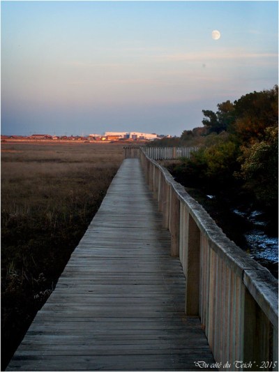 blog-pa252024-passerelle-gujan-et-lune.jpg