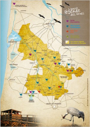 Carte grues cendrées Landes de Gascogne
