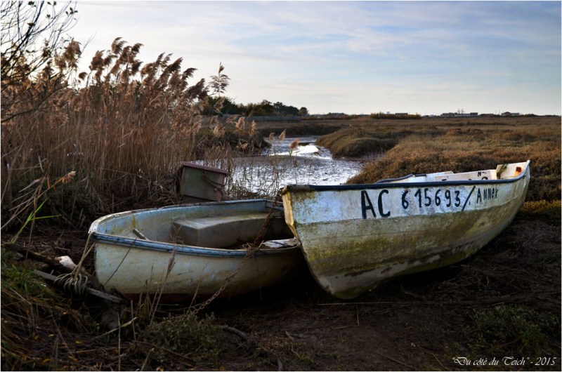 BLOG-DSC_39142-barques passerelle Gujan