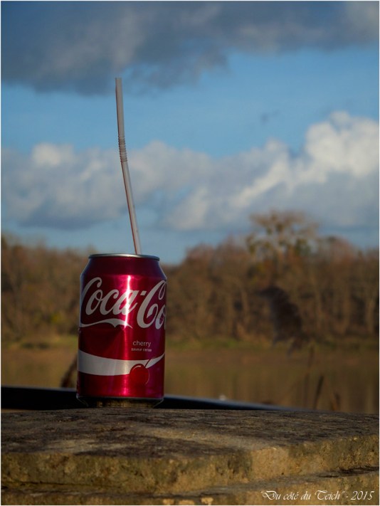 blog-pc293344-coca-cola-rives-darcins.jpg