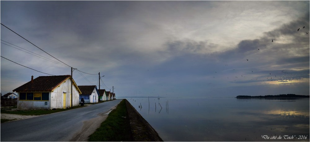 BLOG-DSC_39253-54-quai ouest port Arès 2